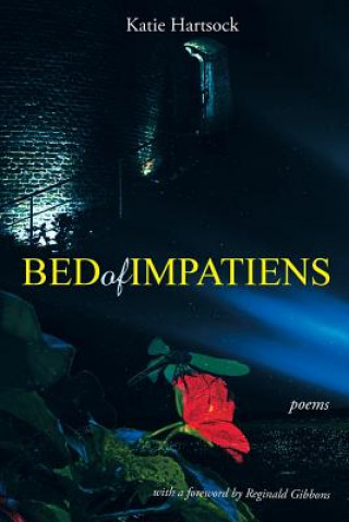 Bed of Impatiens