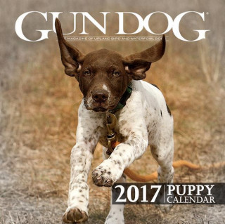 2017 Gun Dog Puppy Calendar