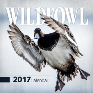 2017 Wildfowl Calendar