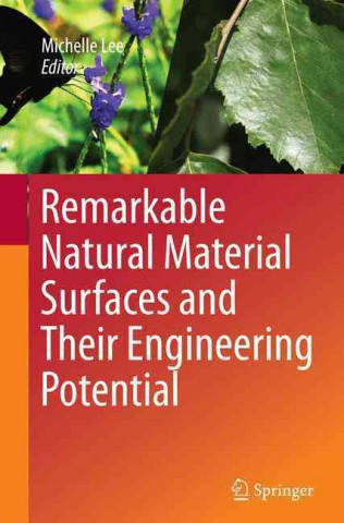 Remarkable Natural Material Surfaces and Their Engineering Potential