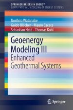 Geoenergy Modeling III