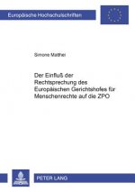 Der Einflu der Rechtsprechung des Europaeischen Gerichtshofes fuer Menschenrechte auf die ZPO
