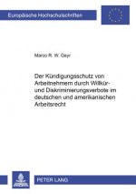Der Kuendigungsschutz von Arbeitnehmern durch Willkuer- und Diskriminierungsverbote im deutschen und amerikanischen Arbeitsrecht