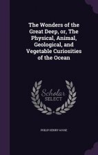 Wonders of the Great Deep, Or, the Physical, Animal, Geological, and Vegetable Curiosities of the Ocean