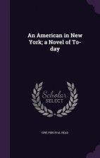 American in New York; A Novel of To-Day