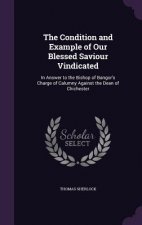Condition and Example of Our Blessed Saviour Vindicated