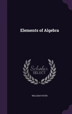 Elements of Algebra