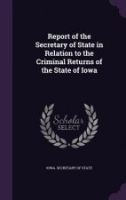 Report of the Secretary of State in Relation to the Criminal Returns of the State of Iowa