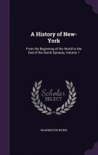 History of New-York