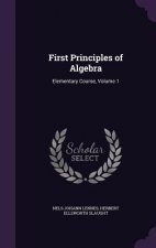 First Principles of Algebra