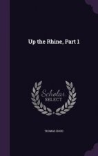 Up the Rhine, Part 1