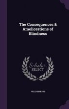 Consequences & Ameliorations of Blindness
