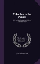Tribal Law in the Punjab