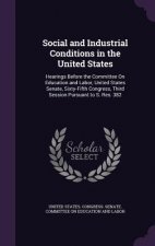 Social and Industrial Conditions in the United States
