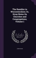 Rambler in Worcestershire; Or, Stray Notes on Churches and Congregations, Volume 1