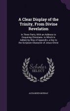 Clear Display of the Trinity, from Divine Revelation