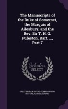 Manuscripts of the Duke of Somerset, the Marquis of Ailesbury, and the REV. Sir T. H. G. Puleston, Bart. ..., Part 7