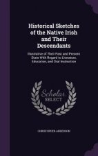 Historical Sketches of the Native Irish and Their Descendants