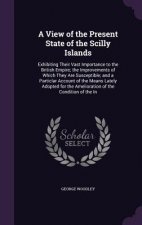 View of the Present State of the Scilly Islands
