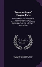 Preservation of Niagara Falls