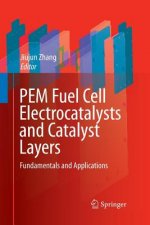 PEM Fuel Cell Electrocatalysts and Catalyst Layers