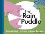 Rain Puddle