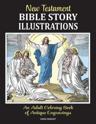 New Testament Bible Story Illustrations