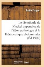 Le Diverticule de Meckel Appendice de l'Ileon