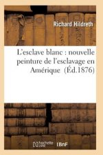 L'Esclave Blanc: Nouvelle Peinture de l'Esclavage En Amerique