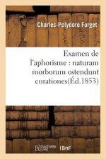 Examen de l'Aphorisme: Naturam Morborum Ostendunt Curationes