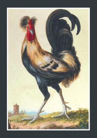 Carnet Ligne, Coq