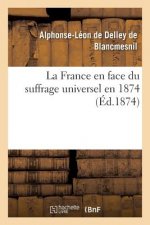 France En Face Du Suffrage Universel En 1874