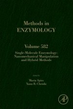 Single-Molecule Enzymology: Nanomechanical Manipulation and Hybrid Methods