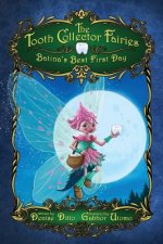 Tooth Collector Fairies