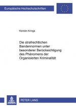 Die strafrechtlichen Bandennormen unter besonderer Beruecksichtigung des Phaenomens der Organisierten Kriminalitaet