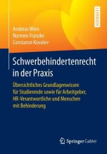 Schwerbehindertenrecht in Der Praxis