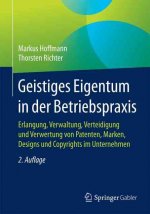 Geistiges Eigentum in Der Betriebspraxis