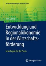 Entwicklung Und Regionaloekonomie in Der Wirtschaftsfoerderung