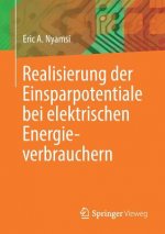 Realisierung Der Einsparpotentiale Bei Elektrischen Energieverbrauchern