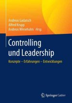 Controlling und Leadership