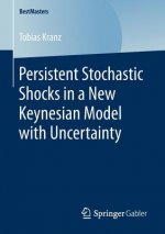 Persistent Stochastic Shocks in a New Keynesian Model with Uncertainty