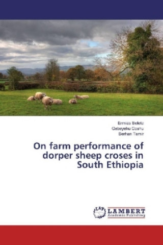 On farm performance of dorper sheep croses in South Ethiopia