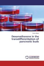 Dexamethasone in the transdifferentiation of pancreatic buds