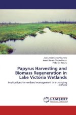 Papyrus Harvesting and Biomass Regeneration in Lake Victoria Wetlands