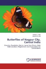 Butterflies of Nagpur City, Central India