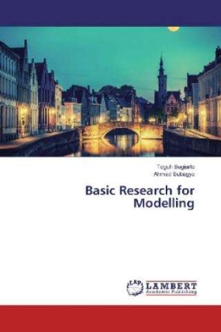 Basic Research for Modelling