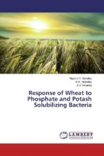 Response of Wheat to Phosphate and Potash Solubilizing Bacteria