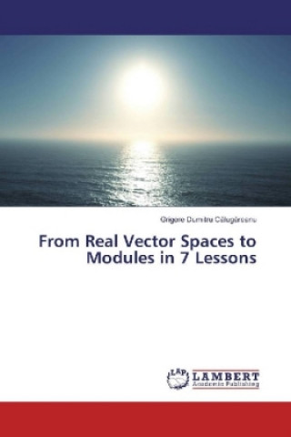 From Real Vector Spaces to Modules in 7 Lessons