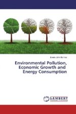 Environmental Pollution, Economic Growth and Energy Consumption