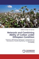 Heterosis and Combining Ability of Cotton under Ethiopian Condition